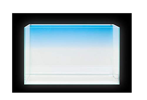 ADA Light Screen 60 Type C Plug (W60xH36cm): Buy Online at Best